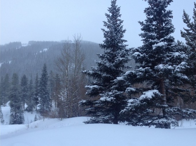 232323232%7Ffp543 )nu=3364)788)5 3)WSNRCG=38( 7;67(;337nu0mrj