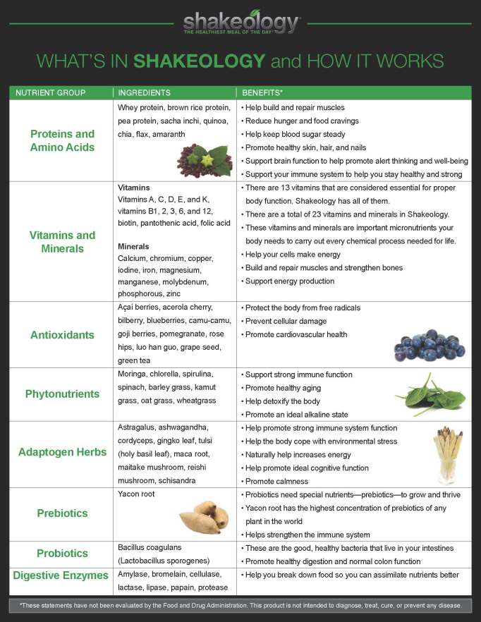 SHK_Ingredient_Chart (1)