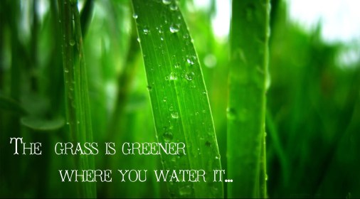 the-grass-is-greener-